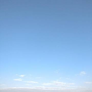 2021-12-18 武汉 / 晴