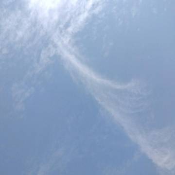 2021-12-03 万州 / 晴