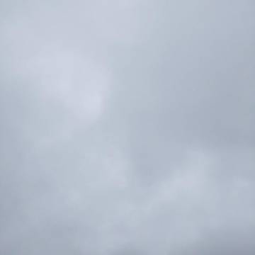 2022-01-07 黎平 / 雨