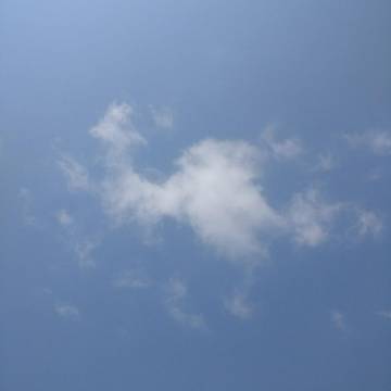 2022-01-11 肇兴 / 晴