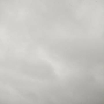 2022-01-06 凤凰 / 雨