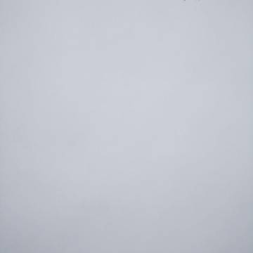 2022-01-03 边城 / 雾