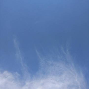 2022-01-18 昆明 / 晴