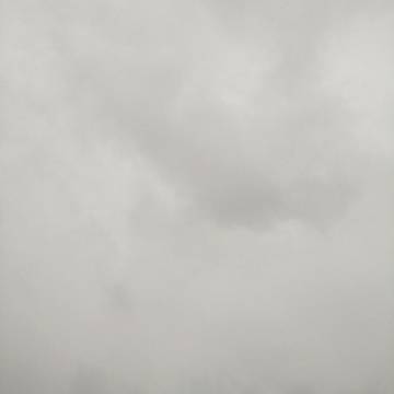 2022-01-05 凤凰 / 云