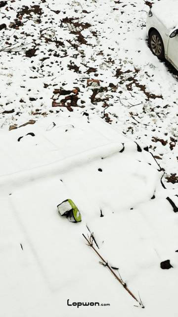昆明下雪
