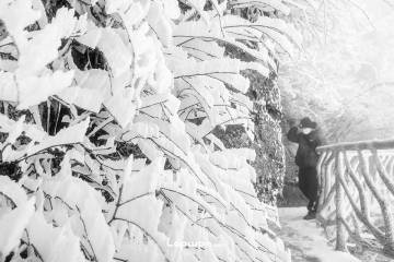 一季山河：来都来了