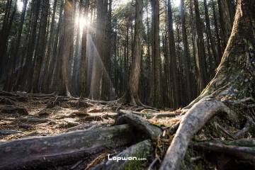 一季山河:湖北篇(下)