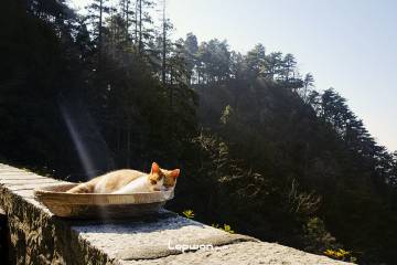 一季山河：湖北篇（下）