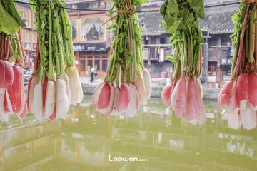 一季山河：侗寨篇