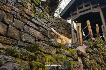 一季山河：湘西篇