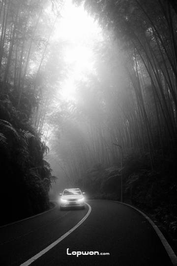 2021年11月18日，四川省长宁县，蜀南竹海一景。by Lopwon