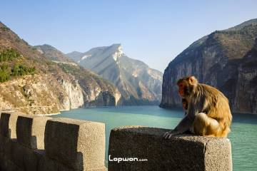 一季山河：重庆篇（下）