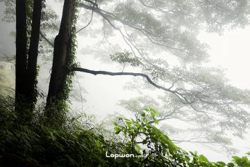 一季山河:对旅行的期待