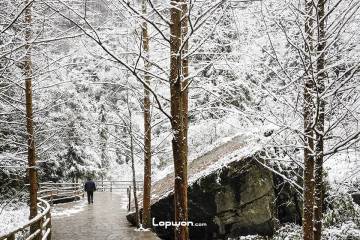 2021年12月27日，重庆市武隆区，天坑一景。by Lopwon