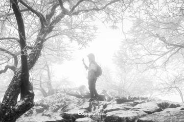 2021年12月24日，湖南省张家界市，天门山上的人。by Lopwon