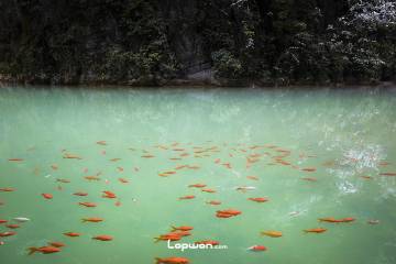 2021年12月27日，重庆市武隆区，天坑一景。by Lopwon