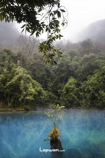 2022年01月14日，贵州省荔波县，小七孔一景。by Lopwon