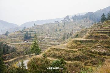 2022年01月12日，贵州省黎平县，肇兴侗寨一景。by Lopwon