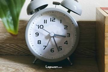 视频：中缅边境，填坑行