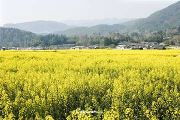2023年02月19日，云南省腾冲市，界头镇一景。by Lopwon