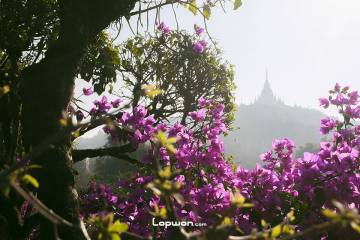 2023年02月14日，云南省芒市，清晨的大金塔。by Lopwon