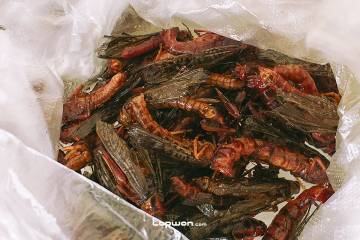 视频：中缅边境，填坑行