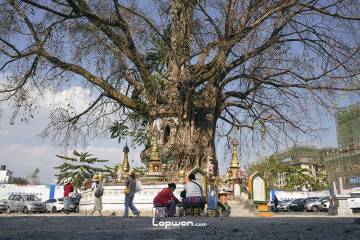 2023年02月12日，云南省芒市，树包塔旁的人们。by Lopwon