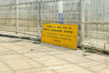 视频：中缅边境，填坑行