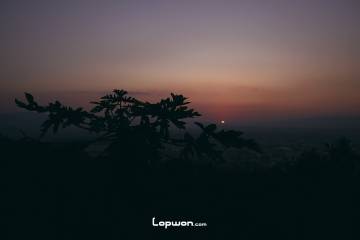 2023年02月12日，云南省芒市，木瓜树与落日。by Lopwon