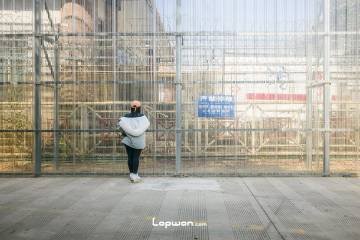 视频：中缅边境，填坑行