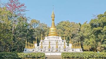 视频：中缅边境，填坑行