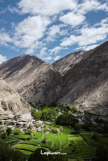 2018年05月17日，西藏自治区昌都市，邦达好多拐中的绿洲。by Lopwon