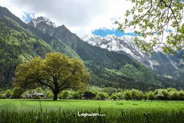 2018年05月19日，西藏自治区林芝市，前往波密。by Lopwon