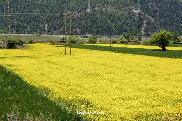 2018年05月22日，西藏自治区林芝市，前往工布江达。by Lopwon