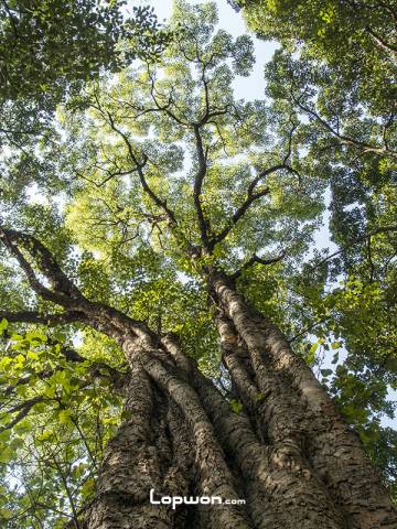 骑行云南：影像篇