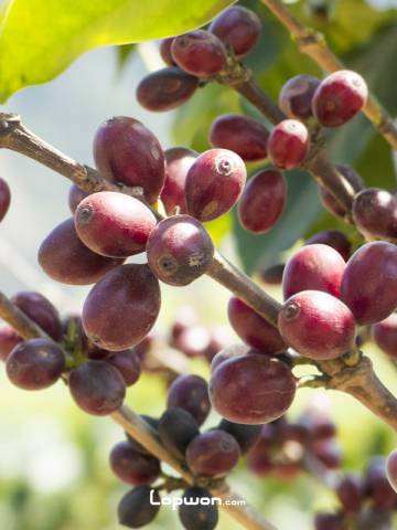 骑行云南：影像篇