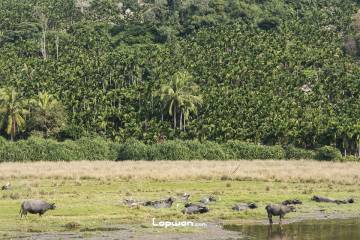 骑行海南：影像篇