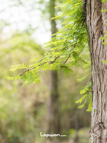 骑行云南：影像篇