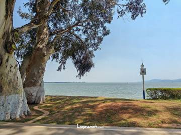 滇池海埂公园。