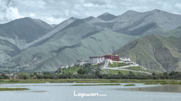 2013年07月23日，西藏自治区拉萨市，从拉鲁湿地远眺布宫。by Lopwon