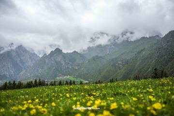 征途一夏：影像篇