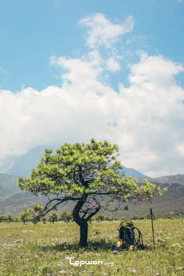 视频：2012，那年徒步