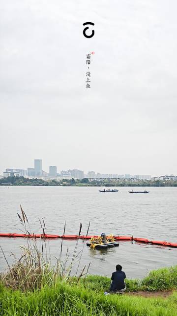 43,霜降