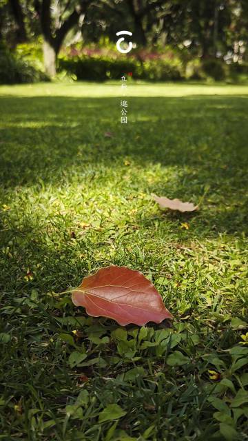 43,立秋